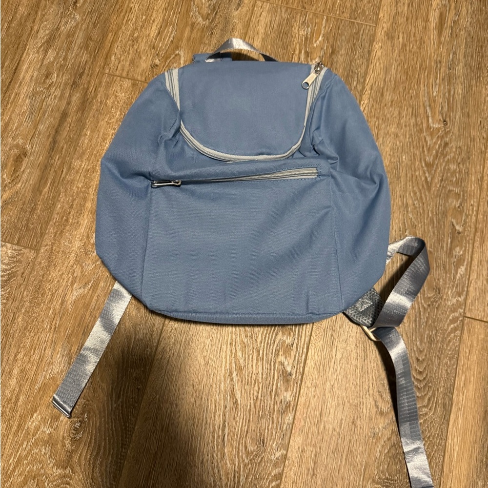BNWT—Light Blue June Shine Insulated Backpack Cooler—Great Quality, & Cute!